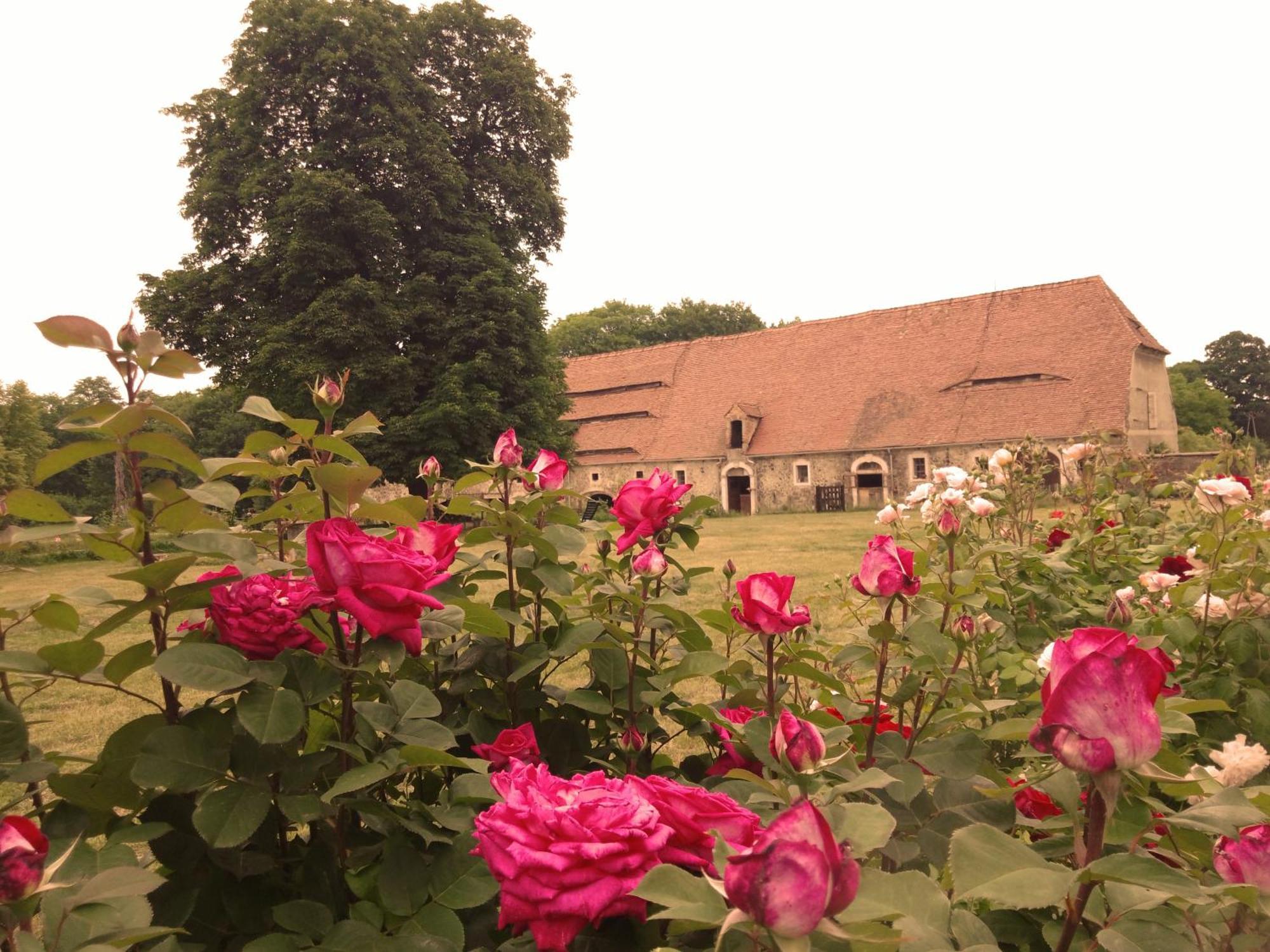 Villa Studniska Country Estate Exterior foto